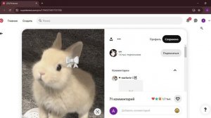 КАК СКАЧАТЬ ФОТО ИЗ PINTEREST НА ПК? BLACKIEFOX