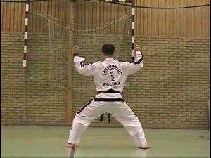 Тэ Ге видео в тхэквондо туль на красный пояс, 2 гып, хьенг 37 движений, комплекс Toi Gye Tul спорт