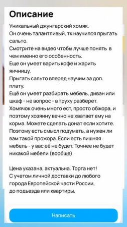 Юмористы Авито 29