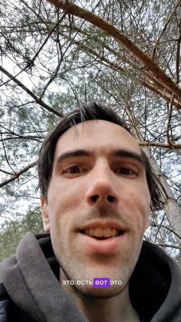 61 гексаграмма ицзин