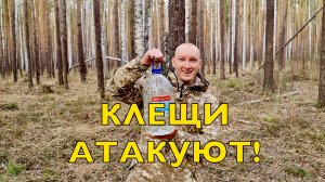 Посылка АЛЁНЕ ЦВЕТАЕВОЙ | Берёзовый сок | Первые заказы | Клещи атакуют