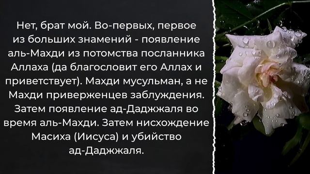 Когда именно выйдет ад-Даджжаль? / Шейх аль-Фаузан / Шарх ас-Сунна (128) смотреть онлайн
