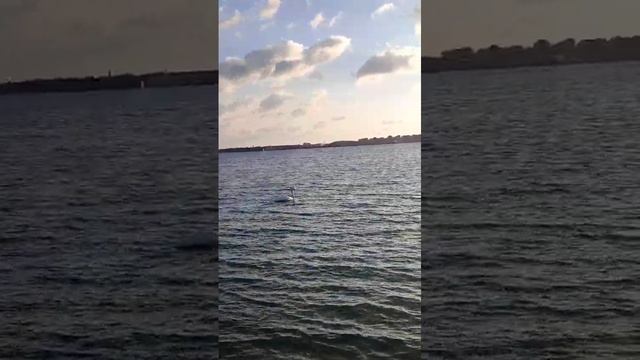 Морюшко релакс