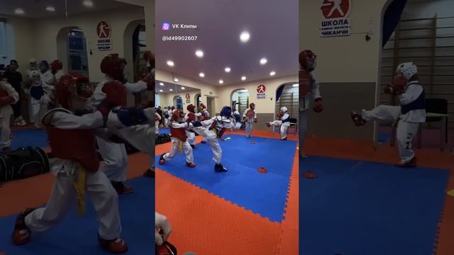 Аттестация тхэквондо экзамен смотреть онлайн