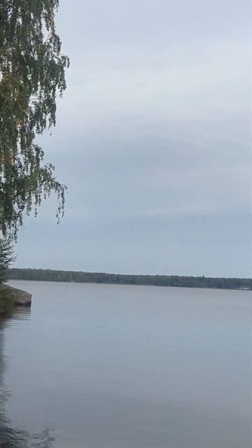 Санкт-Петербург • Выборгский район • Карельский перешеек #travel #travelshorts #санктпетербург #спб смотреть онлайн