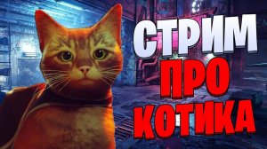 ЛУЧШАЯ ИГРА 2022? - Обзор Игры Stray. Игра про котика!