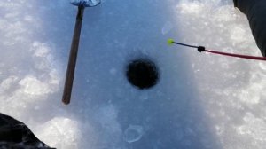 Рыбалка на ротана