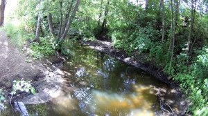 Малые реки Самарской области. Река Буян