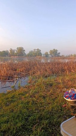Всем рыбакам и охотникам привет! #fishing #фидер #рыбалканаозере #hunting #fishhunting