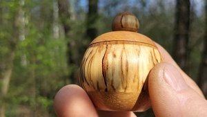 Шкатулка в весеннем лесу