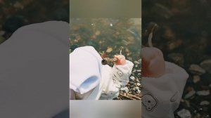 Прогулка с реборном у реки🌊🌊🌊.mp4