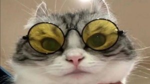 Играю в мёртвый лес и получаю гранаты