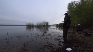 Закормили место и пошло дело. Рыбалка в тихом и красивом месте