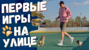 Первые игры на площадке! 🏟️🐕