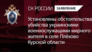 Установлены обстоятельства убийства украинскими военнослужащими мирного жителя в Курской области