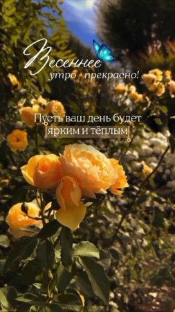 Прекрасного утра.