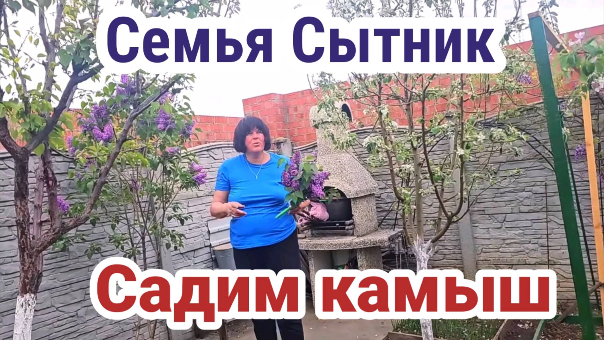 Семья Сытник- Садим камыш