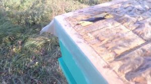 24 сентября 2024 года. Обработка пчёл. Бипин + Сироп