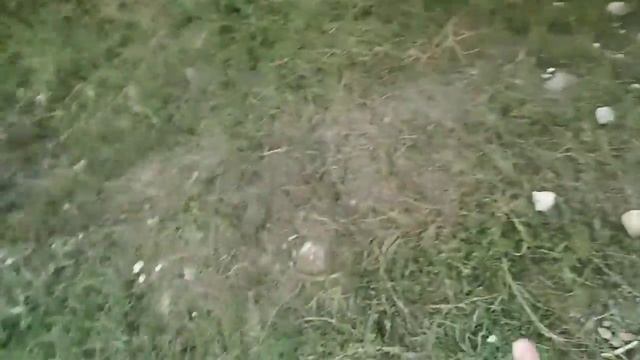 Кастом дёрта смотреть онлайн