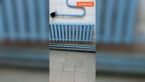 С заплесневелыми душевыми хабаровского техникума разбирается прокуратура