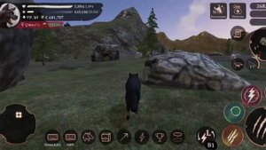 The Wolf