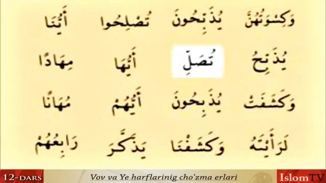 Мен хам Қуръон ўқийман12