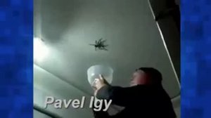 Смешно до усрачки
