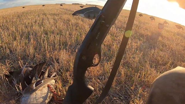 и снова в поле на крякву смотреть онлайн