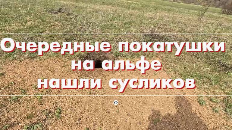 Очередные покатушки на альфе нашли сусликов смотреть онлайн