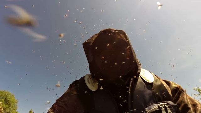 Ахтуба разлив 2016_5. Мошка смотреть онлайн