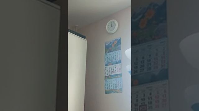 24.04.25/14:57 Долбят