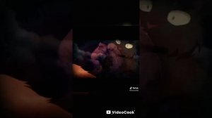 подборка котов воителей из тик тока!