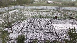 У природы нет плохой погоды.