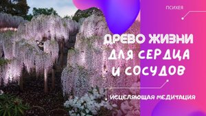 Медитация - полное исцеление сердца и сосудов. Древо жизни