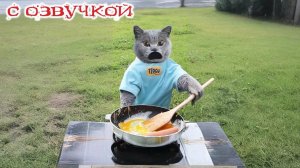 Приколы с котами! С ОЗВУЧКОЙ! Смешные коты! Смешные виде с животными! ДО СЛЕЗ!