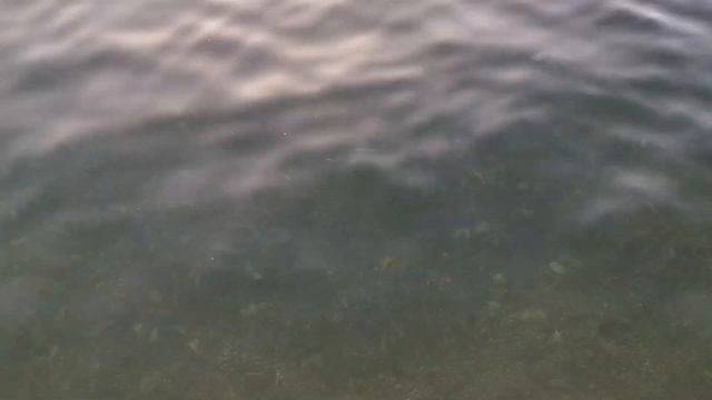 Черногория | Тиват | Начало большого путешествия БЕЗ ТЕСТОВ ПЦР смотреть онлайн