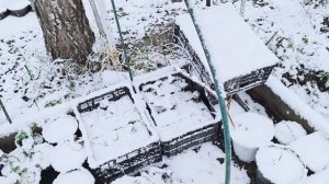 Снежное утро 27.04.2025г.