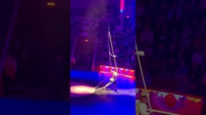 цирк Никулина 🎪