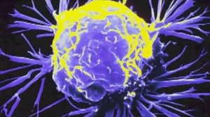 Nanotechnology report