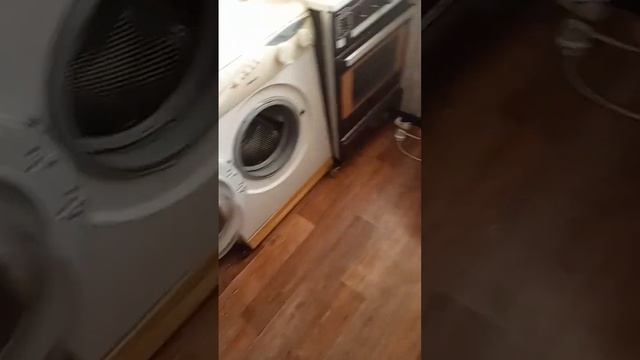 Не каждый день видишь как падает дерево размером с пятиэтажку: страшный ураган в Ликино-Дулёво