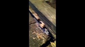 Ремонт пола на даче. Начало.