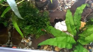 Аквариум 112 литров