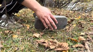 Южный Дагестан с.Хлют отдых «Ореховая роща»