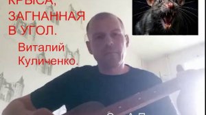 КРЫСА, ЗАГНАННАЯ В УГОЛ  Муз: Виталий Куличенко   Слова А.Петров.   video535534336_456240512-720