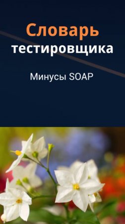 Словарь тестировщика. Минусы SOAP.