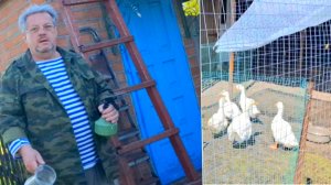 444 🏠 Живём в станице на юге. Готовимся к заселению.Наверное ей конец!Самая правильная Пицца.
