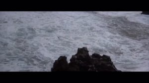 Ричард Бах. Мечта о полете