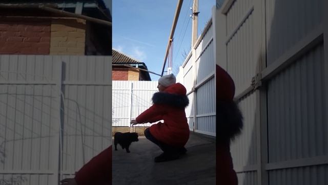 23 декабря 2018 г. смотреть онлайн