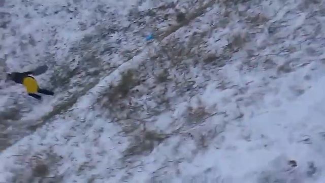 Снежок))