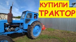 Купили ТРАКТОР / Выкосил участки / Собрал Але велосипед